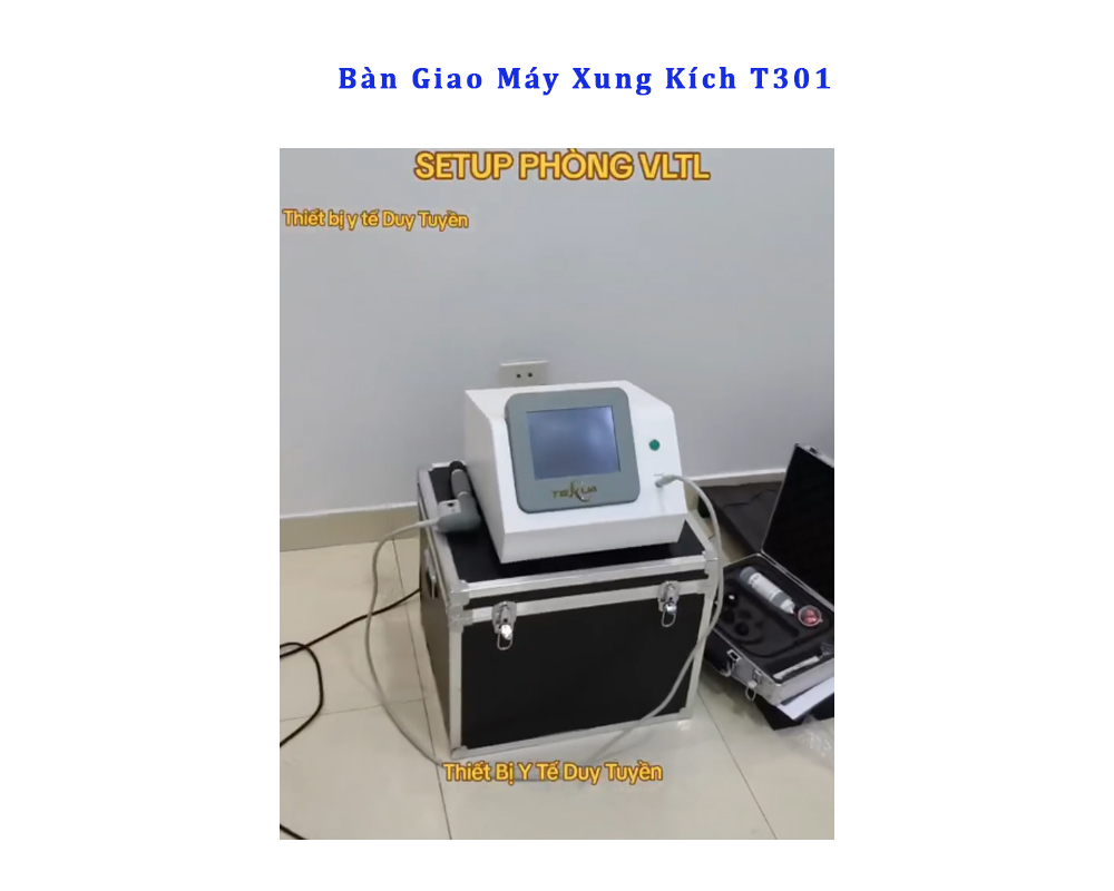 giao máy xung kích T301