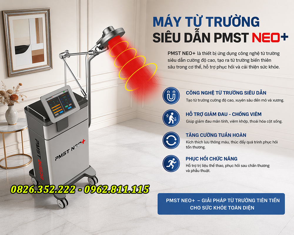 máy từ trường đứng cao cấp