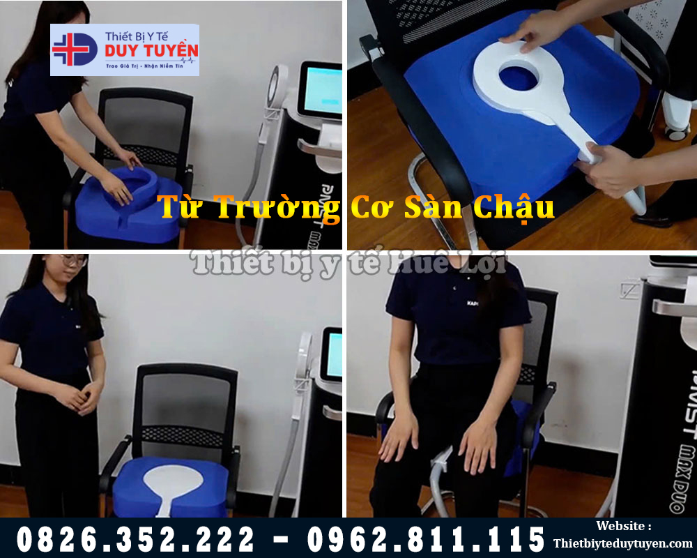 từ trường cơ sàn chậu
