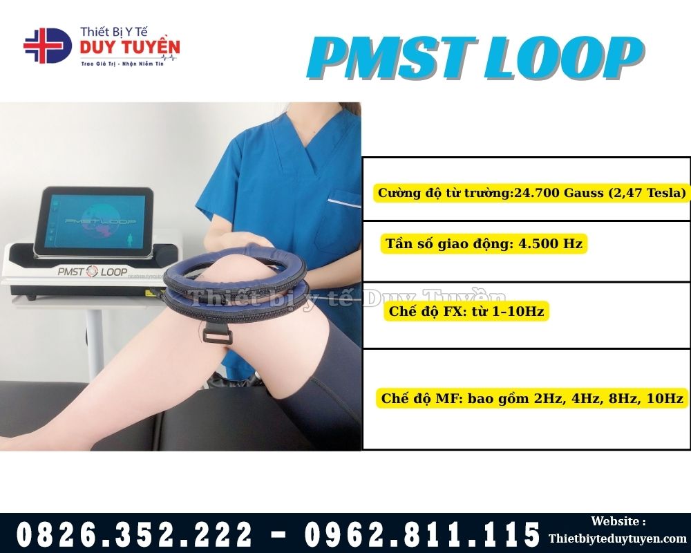 Máy từ trường PMST LOOP