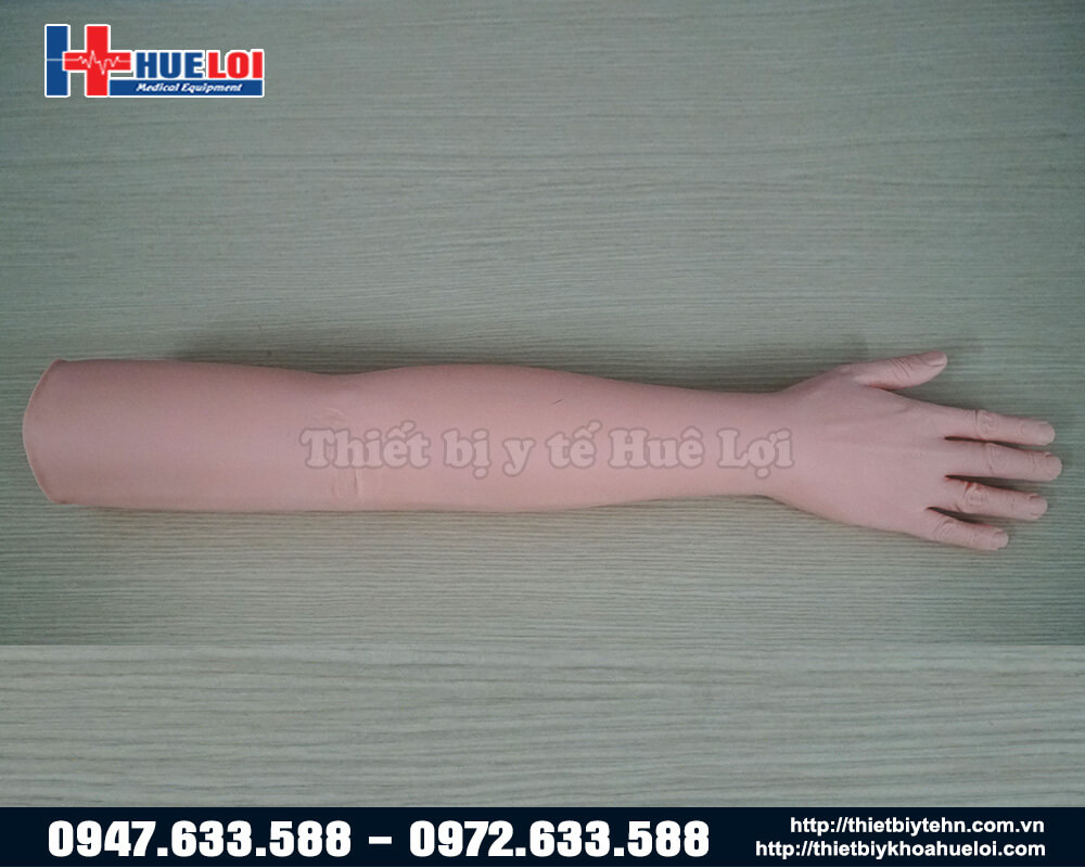 mô hình cánh tay người